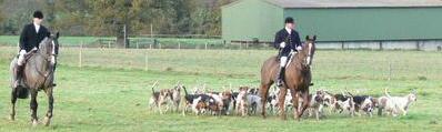 Chiddingfold,Leconfield and Cowdray Hunt (Click for Web Site)