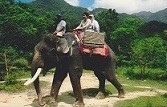 Barry and (wife) Norlia ride on an Elephant in Malaysia