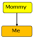 Cradle to the Grave - Conceptual Model Number 2