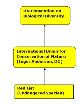 conceptual_data_model