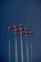 Snowbirds Air Display Team