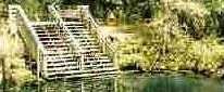 Steps in Peacocks Pond, Florida, courtesy Robert Smith, Australia