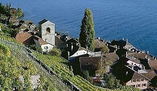 Living on the Edge of Lake Geneva, Switzerland