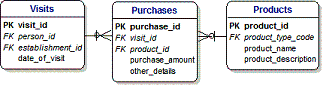 Visits and Purchases